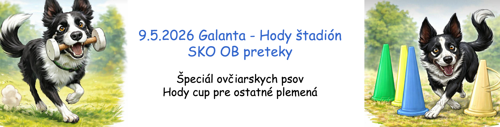ovčiarsky